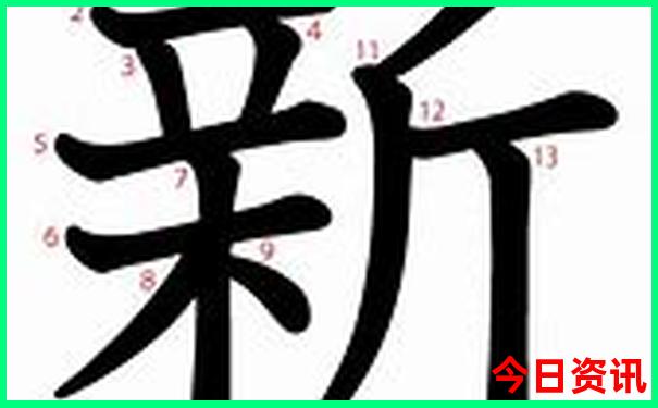 夏季凉快的海边城市